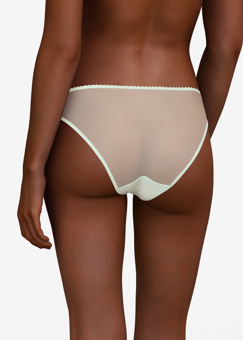 Passionata White Nights Brazilian Brief (mint green atoll blue, back) at Under Wraps Lingerie