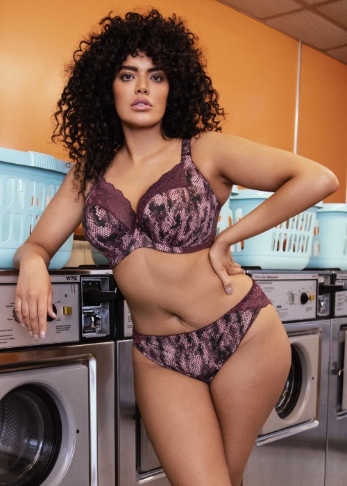 Elomi Lucie Stretch Plunge Bra (mambo purple) at Under Wraps Lingerie