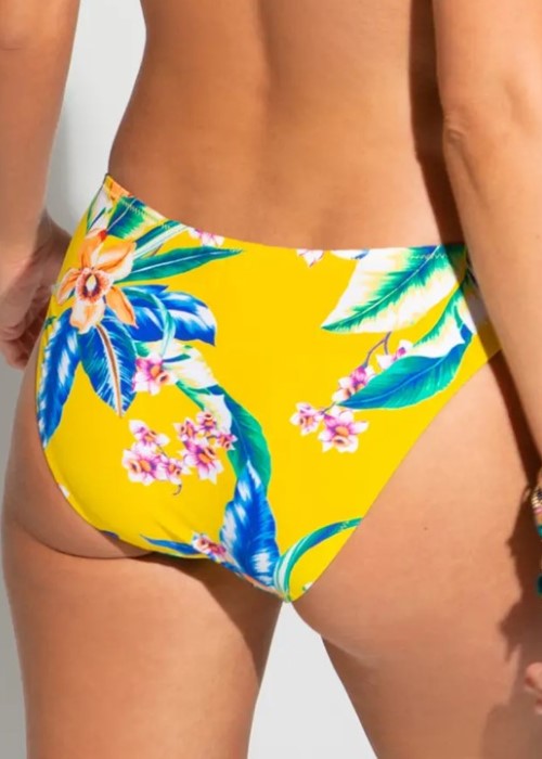 Pour Moi Heatwave Bikini Brief (malibu yellow, back) at Under Wraps Lingerie