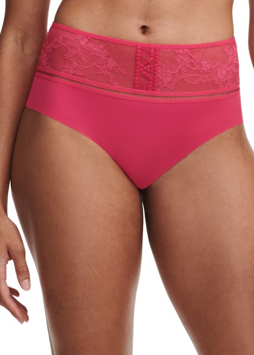 Passionata Olivia High Waisted Full Brief (Lipstick Pink) at Under Wraps Lingerie