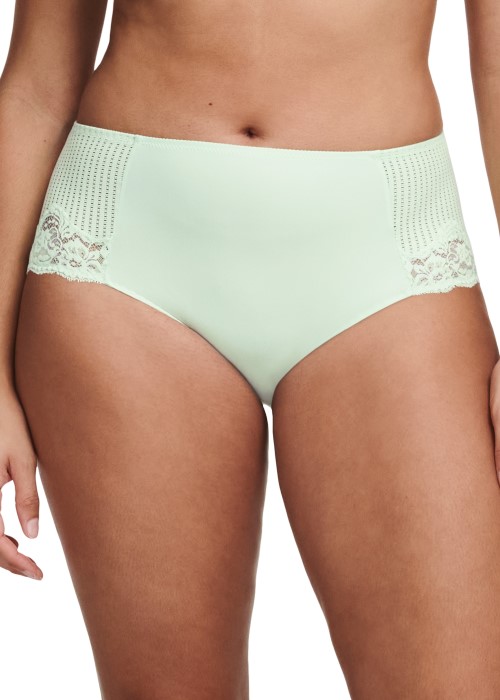 Femilet Marilyn Covering Full Brief (Green Lily) at Under Wraps Lingerie
